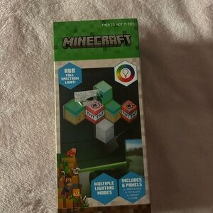 Minecraft RGB Light Set